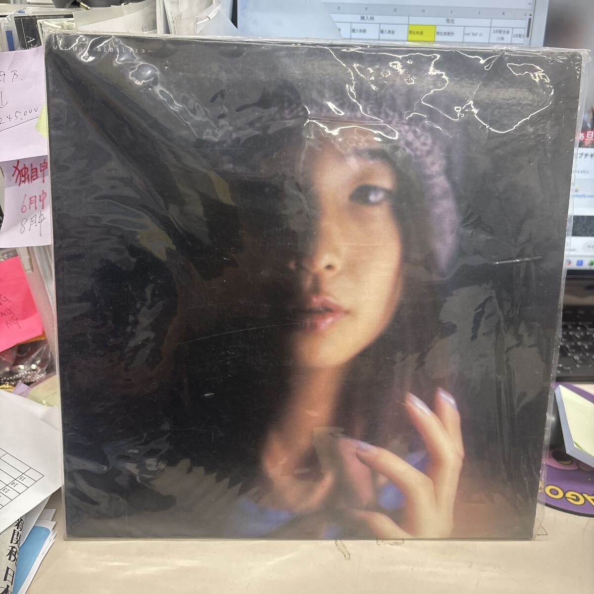 MariMari - 耳と目そしてエコー (LP) 中古 フィッシュマンズの落札情報