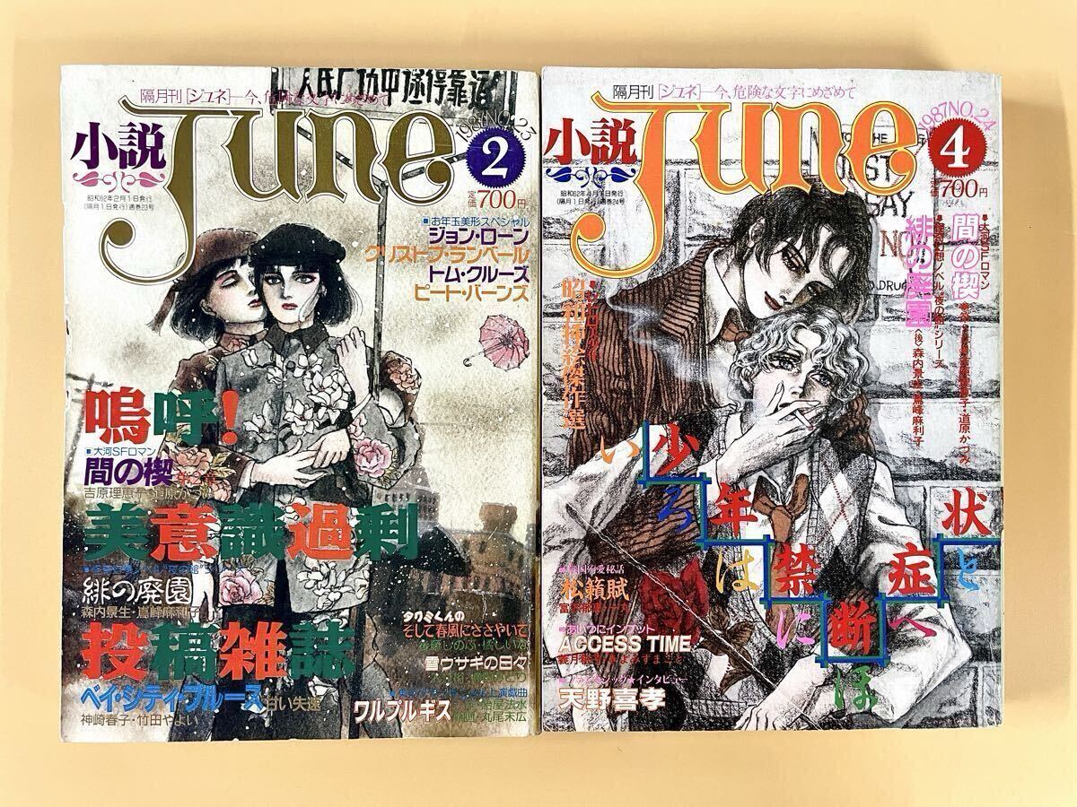 小説JUNE 1987年4月号 ○東京グランギニョル「ワルプルギス」収録