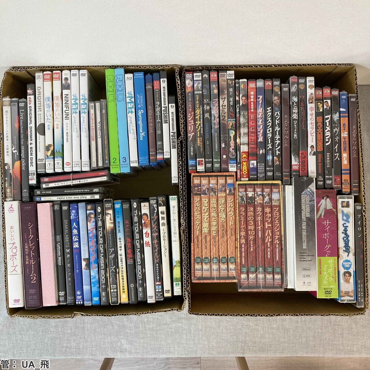 未使用】A. 市原薫 サイン入り現場チェキ 先生教えて DVD特典 直筆