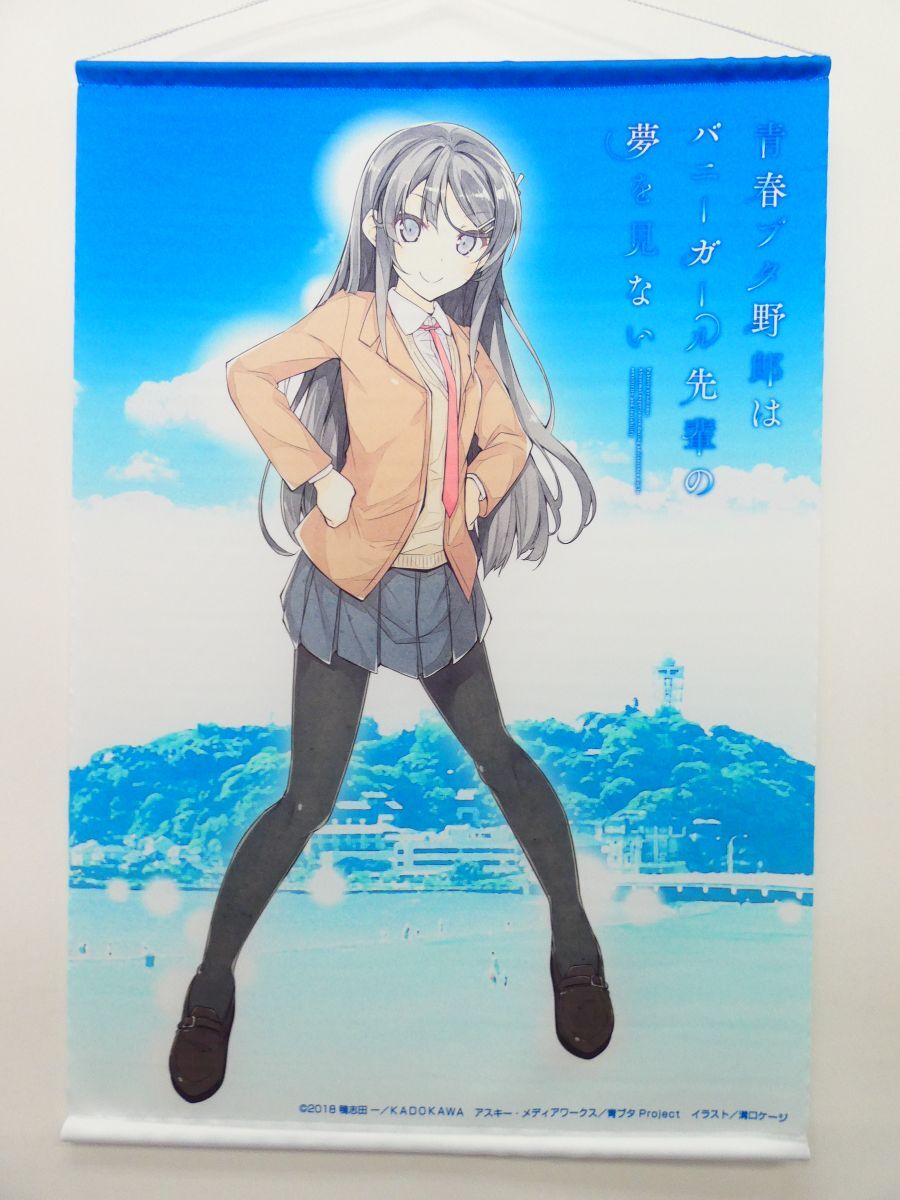 未使用】青春ブタ野郎はバニーガール先輩の夢を見ない 桜島麻衣