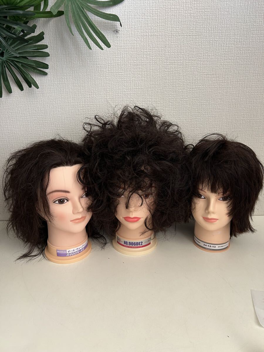 ヘアマネキン 6個 カットウィッグ カットマネキン 東京チャーム 理容