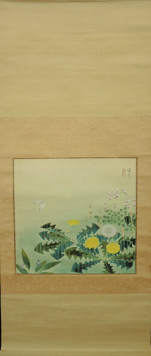 斎藤鳳葉 鳳葉 狸図 たぬき 他抜 タヌキ 掛け軸 掛軸 日本画 絹に彩色