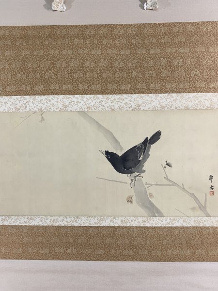E21237 望月金鳳 狸図 水墨画(日本画)紙本 軸装(時代桐箱)四条派日本