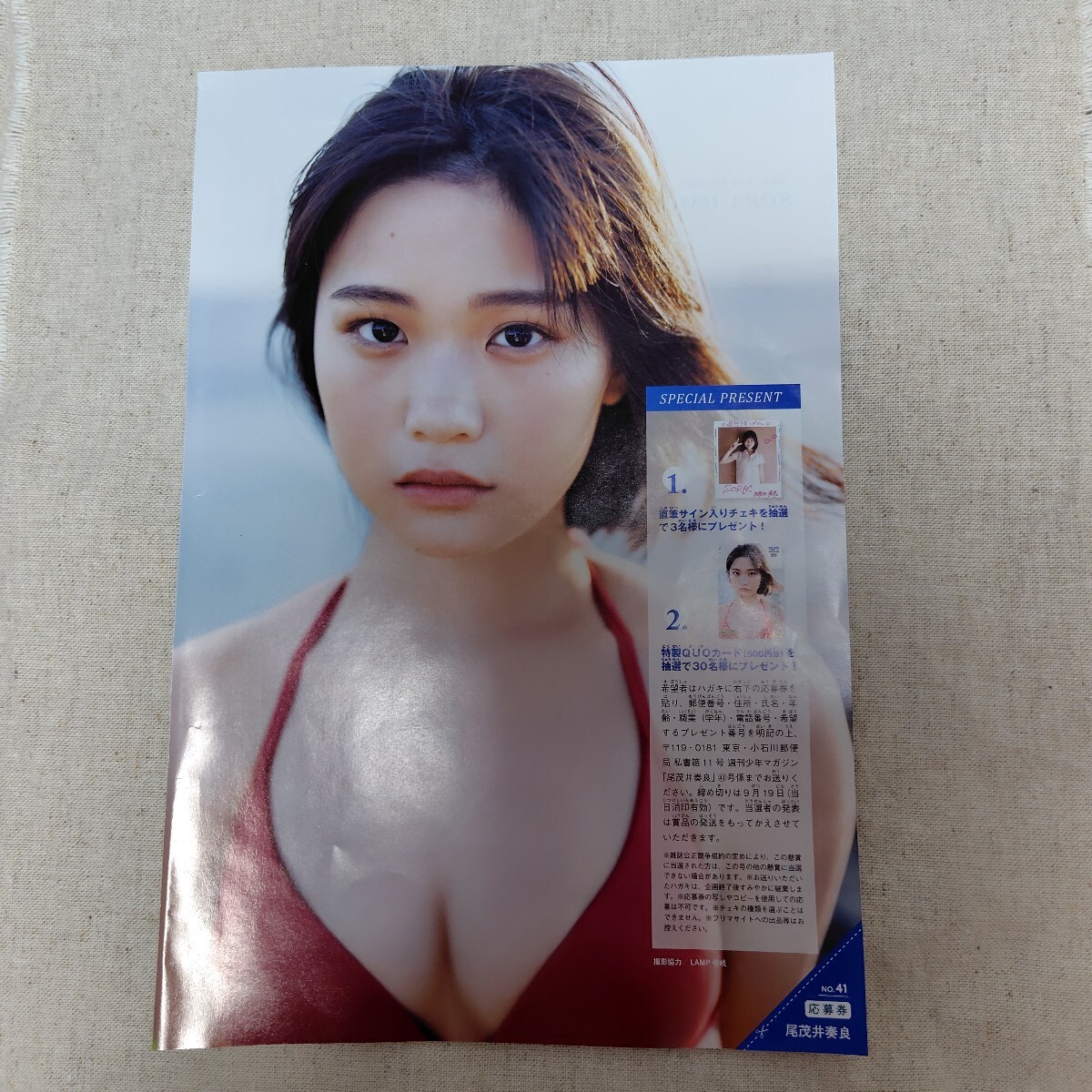 新品】菊地姫奈さん サイン入りチェキ 1点 抽プレ 当選品 週刊少年