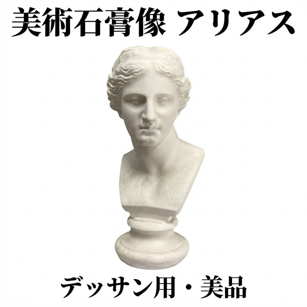 富士石膏像 彫刻 胸像 ミロのヴィーナス デッサン アート 模写
