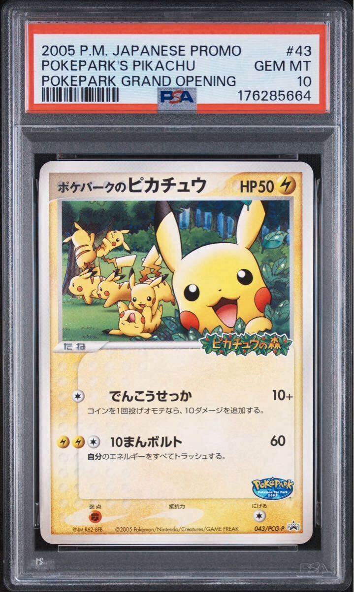 ポケモンカード タケシのミズゴロウ 038/ADV-P プロモーションカードの
