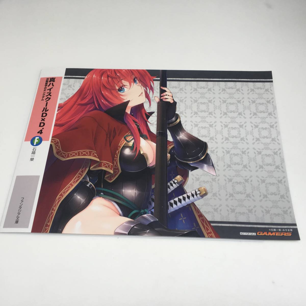 ハイスクールD×D ⑤ ゲーマーズ 特典 ブックカバー NOT FOR SALE