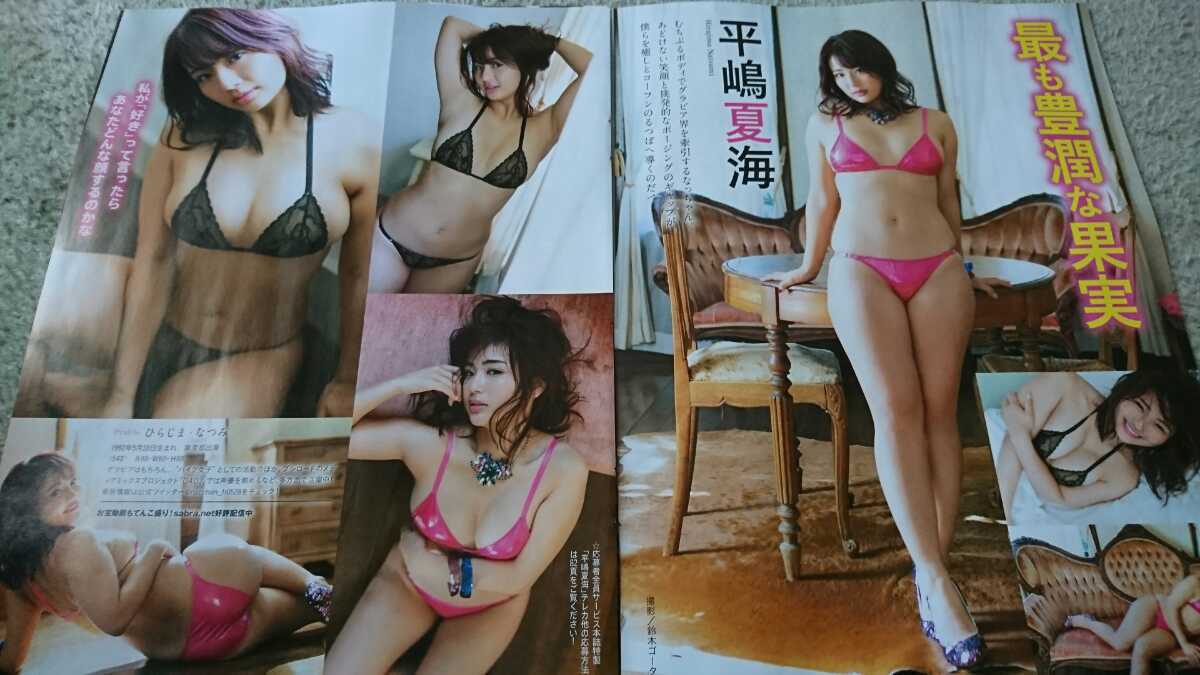 平嶋夏海 紗綾 宇垣美里 田中萌 脊山麻理子 塩地美澄 秋元優里 尾崎里紗 夏目三久 アサ芸シークレットグラビア切り抜き６ページ の落札情報詳細 ヤフオク落札価格情報 オークフリー スマートフォン版