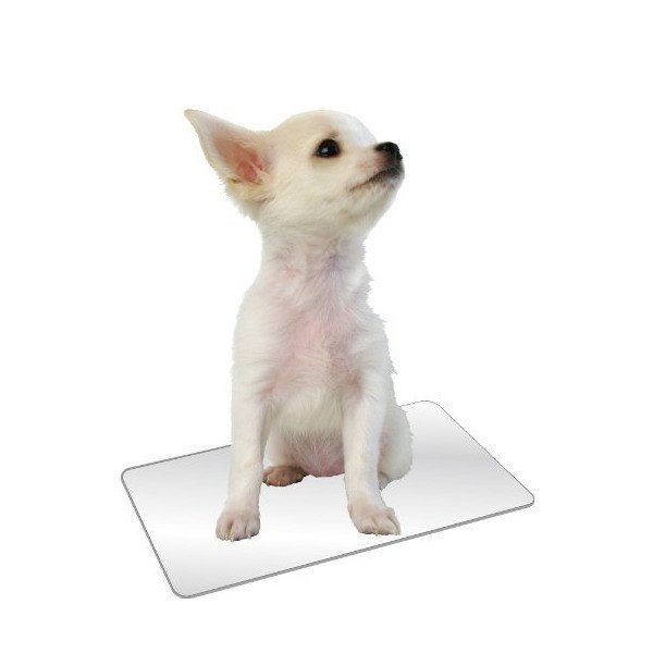 新品 送料無料 犬猫クール Dp 805 ひんやりクールアルミプレート S マルカン 高純度アルミプレート 省エネ の落札情報詳細 ヤフオク落札価格情報 オークフリー スマートフォン版