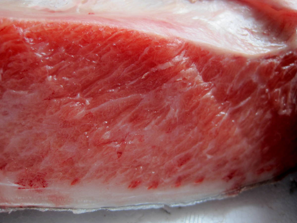 新品 週末は 脂アリの本マグロの大カマ 大トロも付着しているのでお買い得 刺身 寿司 手巻きでどうぞ オーブン焼きも最高 の落札情報詳細 ヤフオク落札価格情報 オークフリー スマートフォン版 新品 週末は 脂アリの本マグロの大カマ 大トロも付着しているのでお買い得 刺身 寿司 手巻きでどうぞ オーブン焼きも最高 の落札情報詳細 ヤフオク落札価格情報 オークフリー スマートフォン版