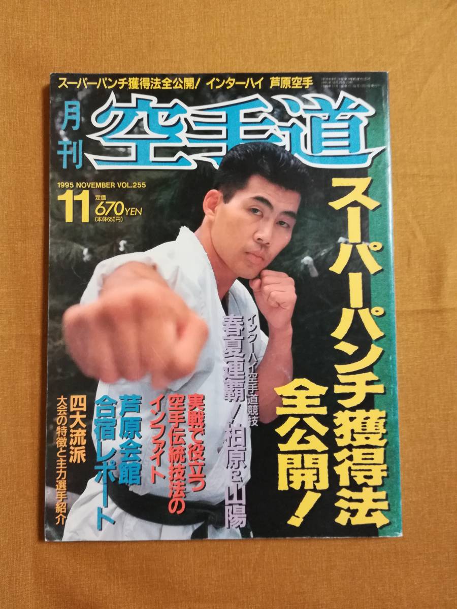 Aあ 月刊 空手道 1995年11月号 VOL.255 スーパーパンチ獲得法全公開