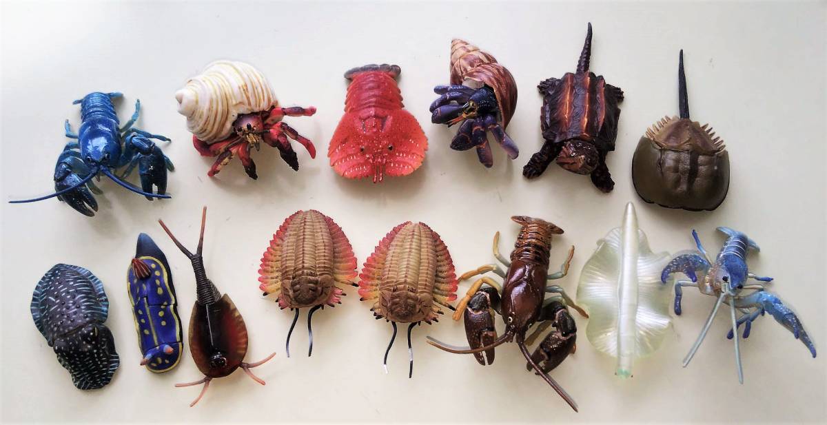 カブトガニ カブトエビ ウチワエビ アメリカザリガニ フィギュア 食玩