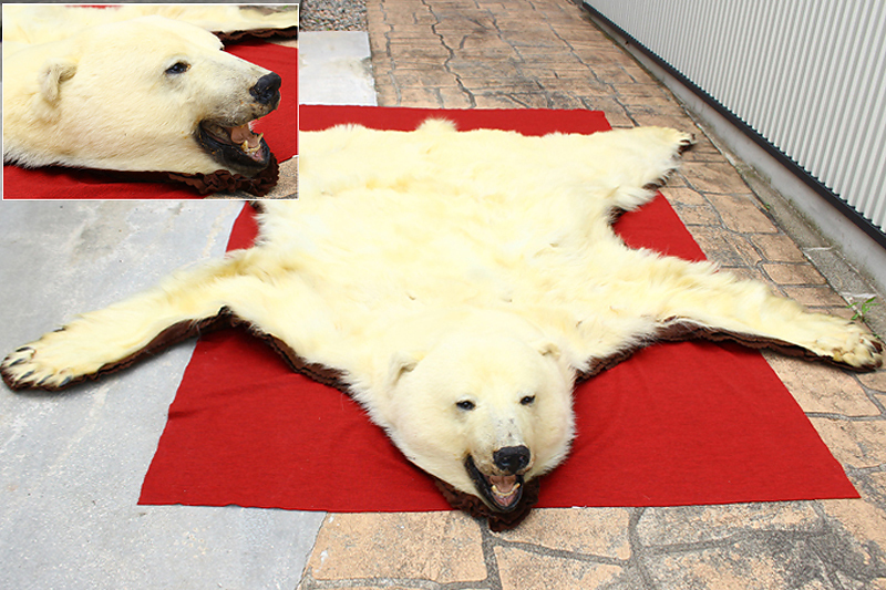 House 家具・インテリア シロクマの毛皮ラグ・カーペット