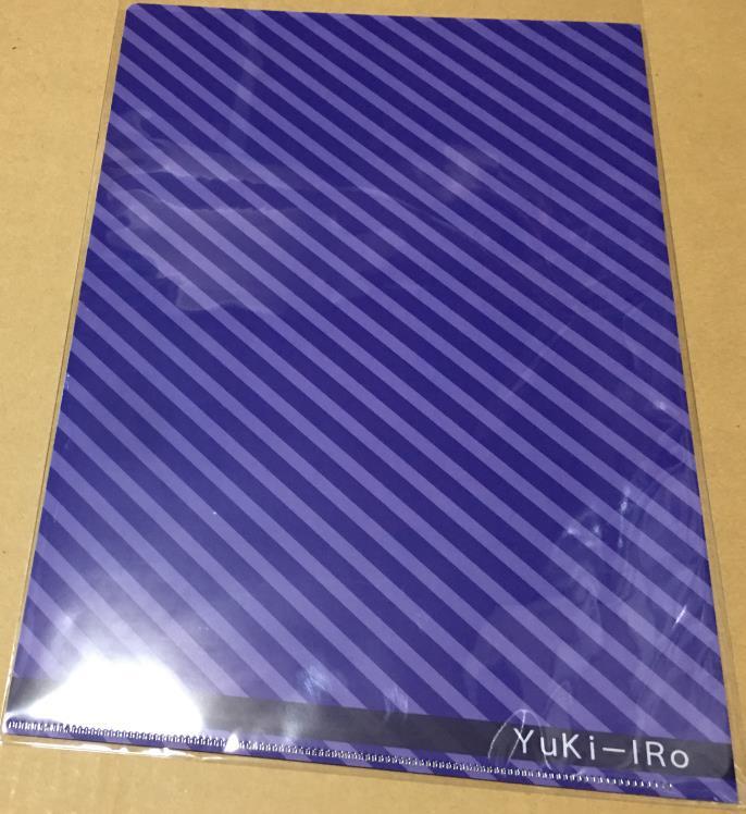 クリアファイル ゆきうさぎ/YUKI-IRO 東方 水着 パチュリー 出品物5点