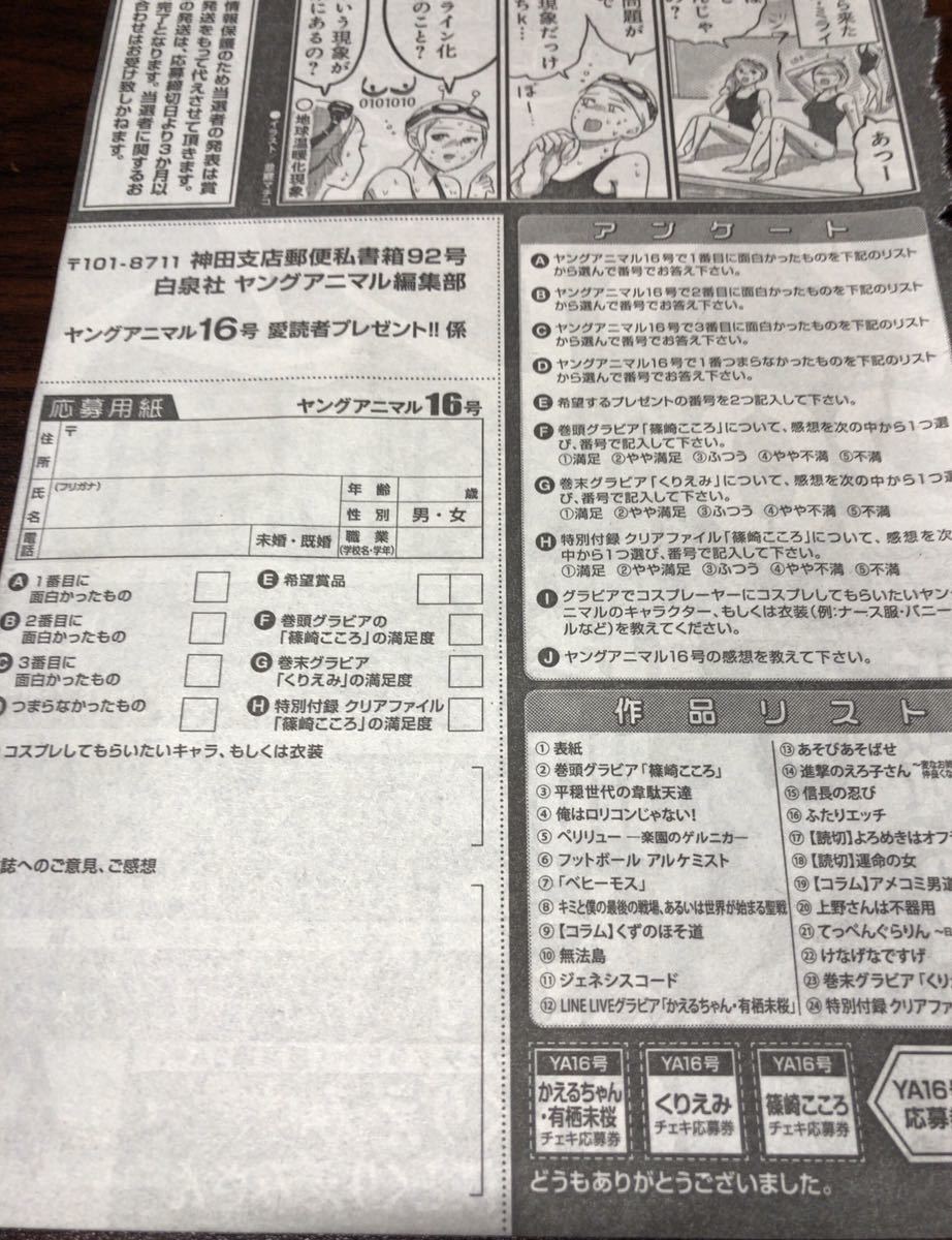 在庫8 ヤングアニマル16号 読者プレゼント応募用紙 篠崎こころ くりえみ 図書カード 直筆サイン入りチェキ応募券付 の落札情報詳細 ヤフオク落札価格情報 オークフリー スマートフォン版