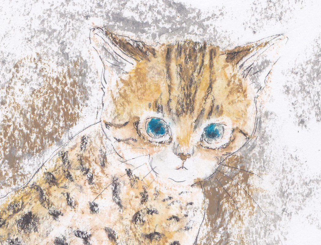 新品 直筆 手描き オリジナル猫イラスト ヒョウ柄の子猫 猫イラスト 猫の絵 ひょう柄 仔猫 自作 スケッチ クレヨン画 線画 の落札情報詳細 ヤフオク落札価格情報 オークフリー スマートフォン版