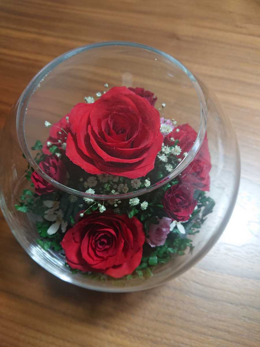 新品】Reine De Fleur(レンデフロール)ドライフラワー置物・オブジェ  