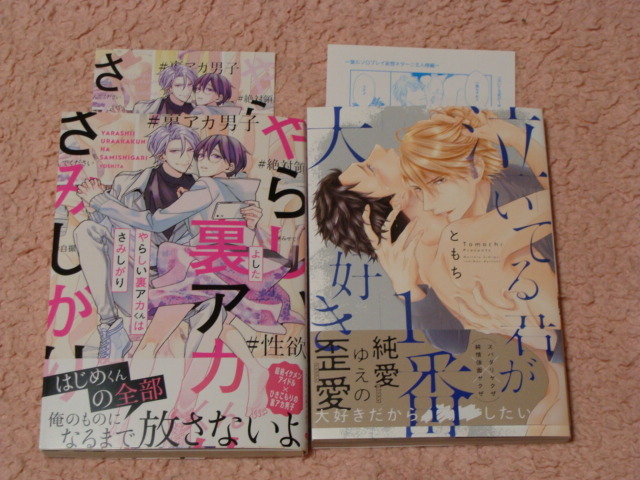 アカギギショウ 淫紋治療士 日乃チハヤ それでは先生 お願いします の落札情報詳細 ヤフオク落札価格情報 オークフリー スマートフォン版