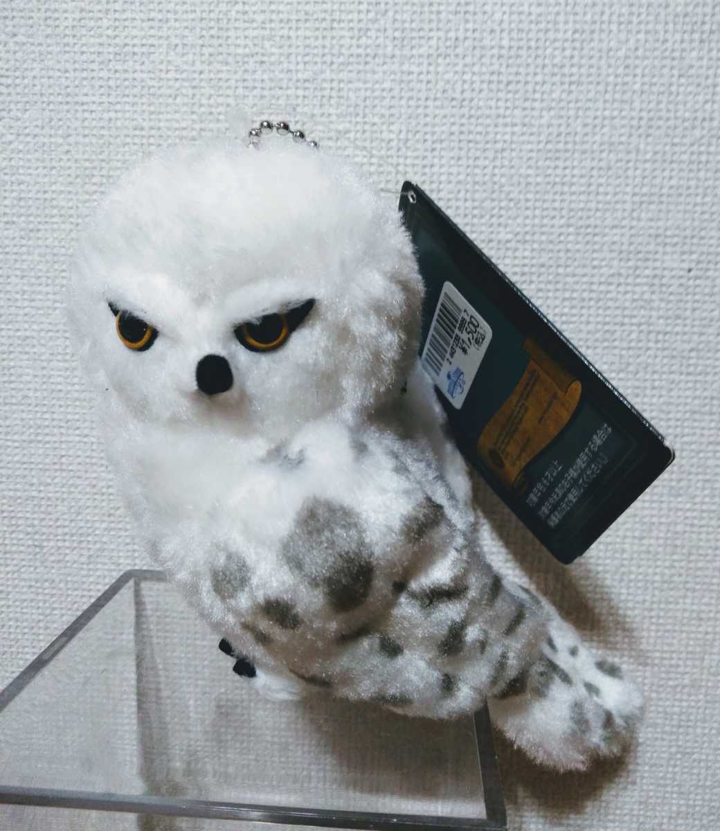 新品 Usj ハリーポッター ヘドウィグ キーチェーンぬいぐるみ 白ふくろう の落札情報詳細 ヤフオク落札価格情報 オークフリー スマートフォン版