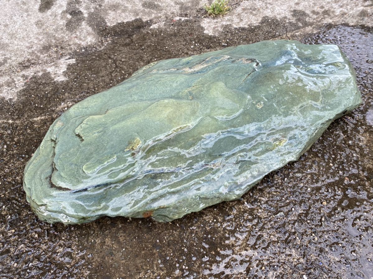 庭石 阿波の青石 踏石 飛石 伏石 平石 38kg ロング 希少