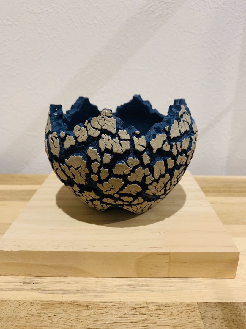 konect fang×グラキリス 【公式通販】