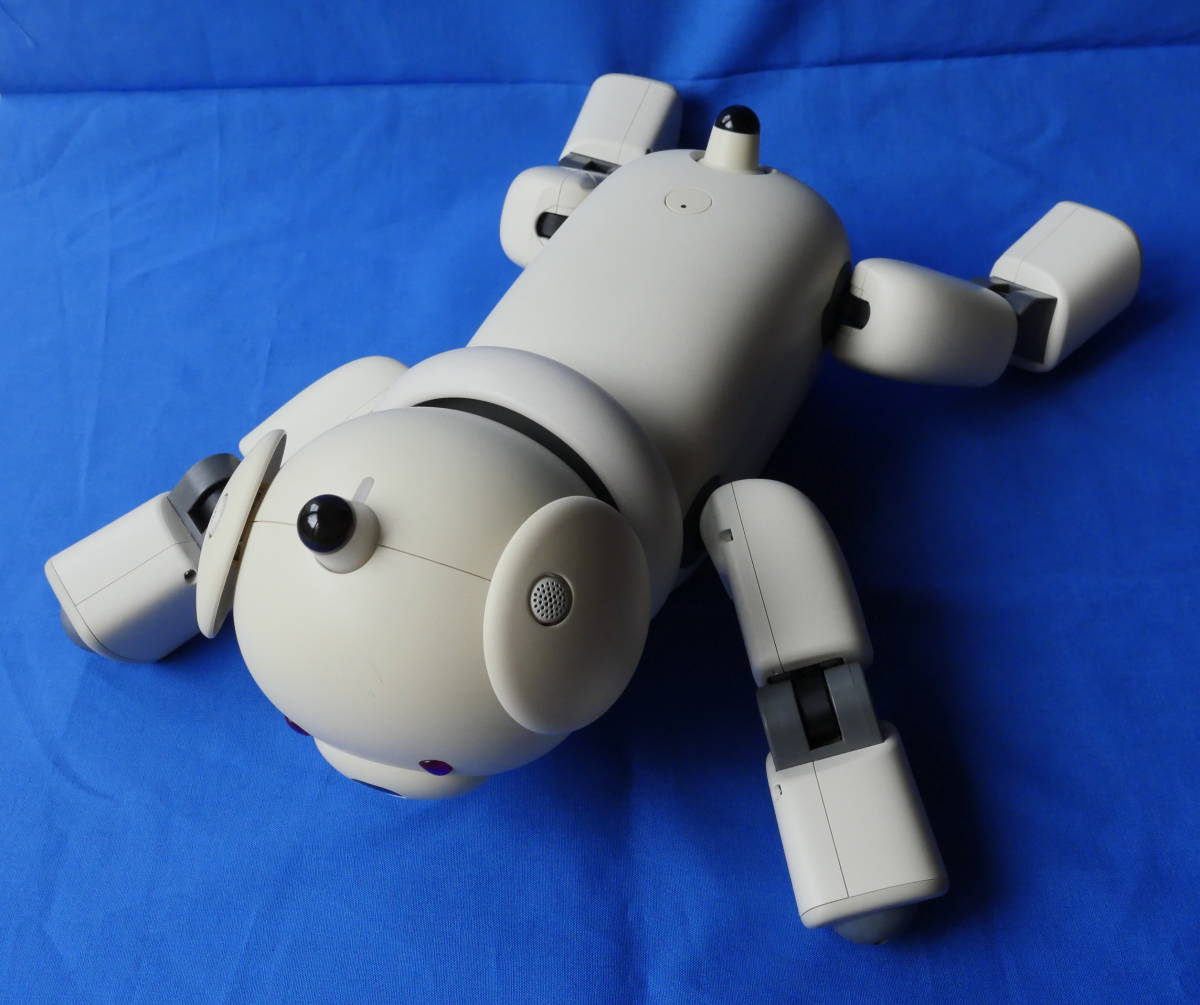 AIBO　マカロン　ジャンク品 AIBOアイボ☆ラッテ☆中古ジャンク☆箱・取扱説明書&ラッテ