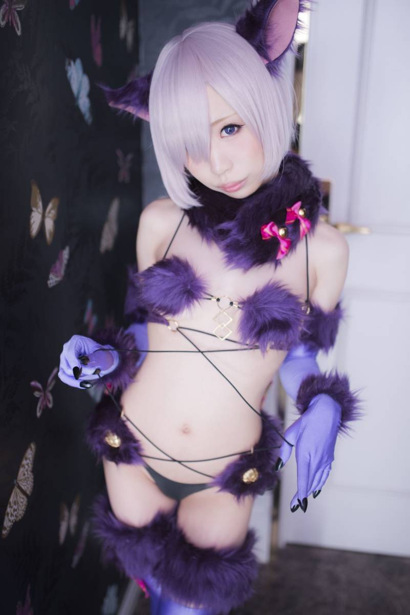 ふれいあコスプレ画像集aセット 1000枚 Rom コミケ レイヤー高画質プロカメラマン撮影 の落札情報詳細 ヤフオク落札価格情報 オークフリー スマートフォン版