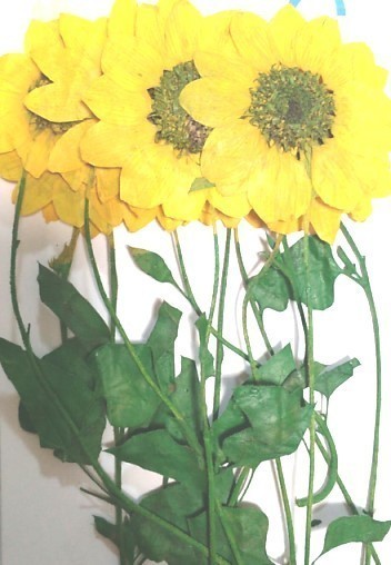 新品 押し花材料 ひまわり デザインパック 10枚 葉付き ヒマワリ ドライフラワー デコ レジン 封印 素材 の落札情報詳細 ヤフオク落札価格情報 オークフリー スマートフォン版