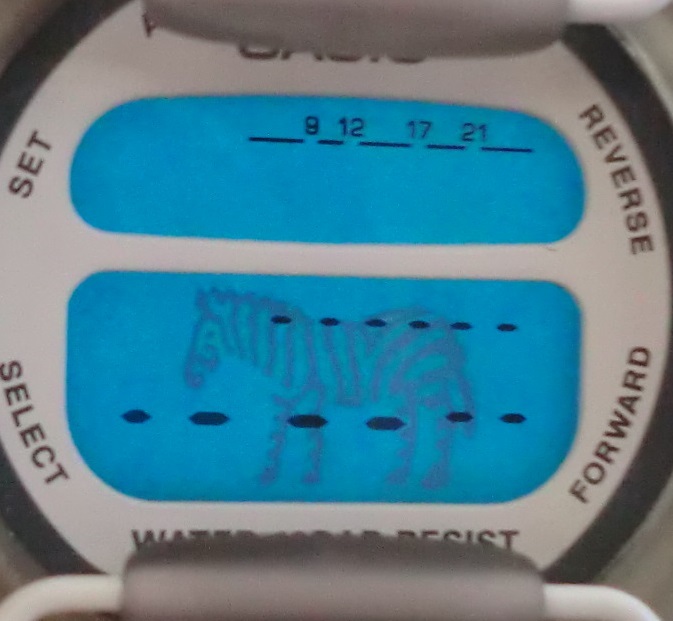 限定CASIO カシオ Baby-G マサイマラ BG-350M-2T ブルー 新品】未使用