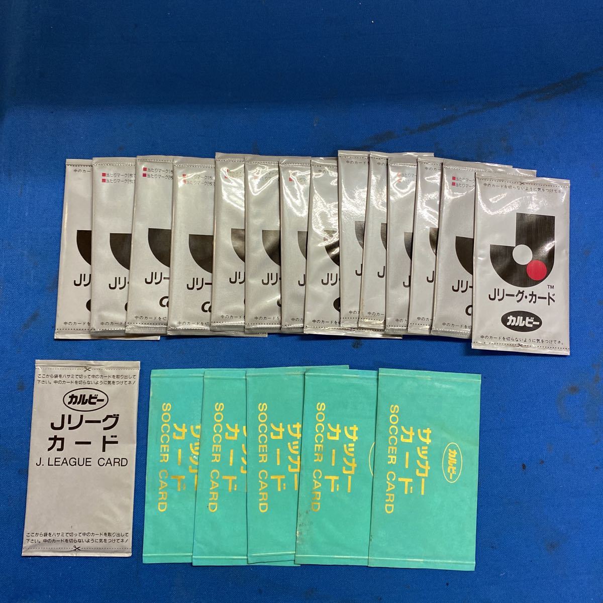 02カルビーJリーグカード日本代表234枚セミコンプセット（コンプまで2