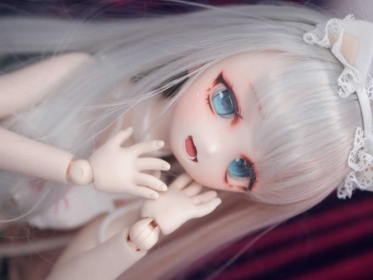 難あり)DDH-10 セミホワイト カスタムヘッド ソフビ盛り mdd（DDH-01 
