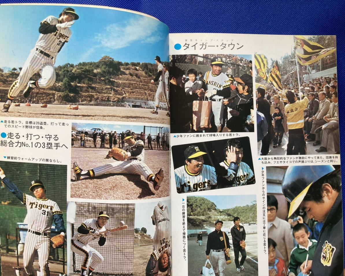 阪神タイガース 王、掛布　お宝希少等選手写真集 フォトブック 目立った傷や汚れなし】1978年掛布雅之 「ほえろ！若トラ タイガースの
