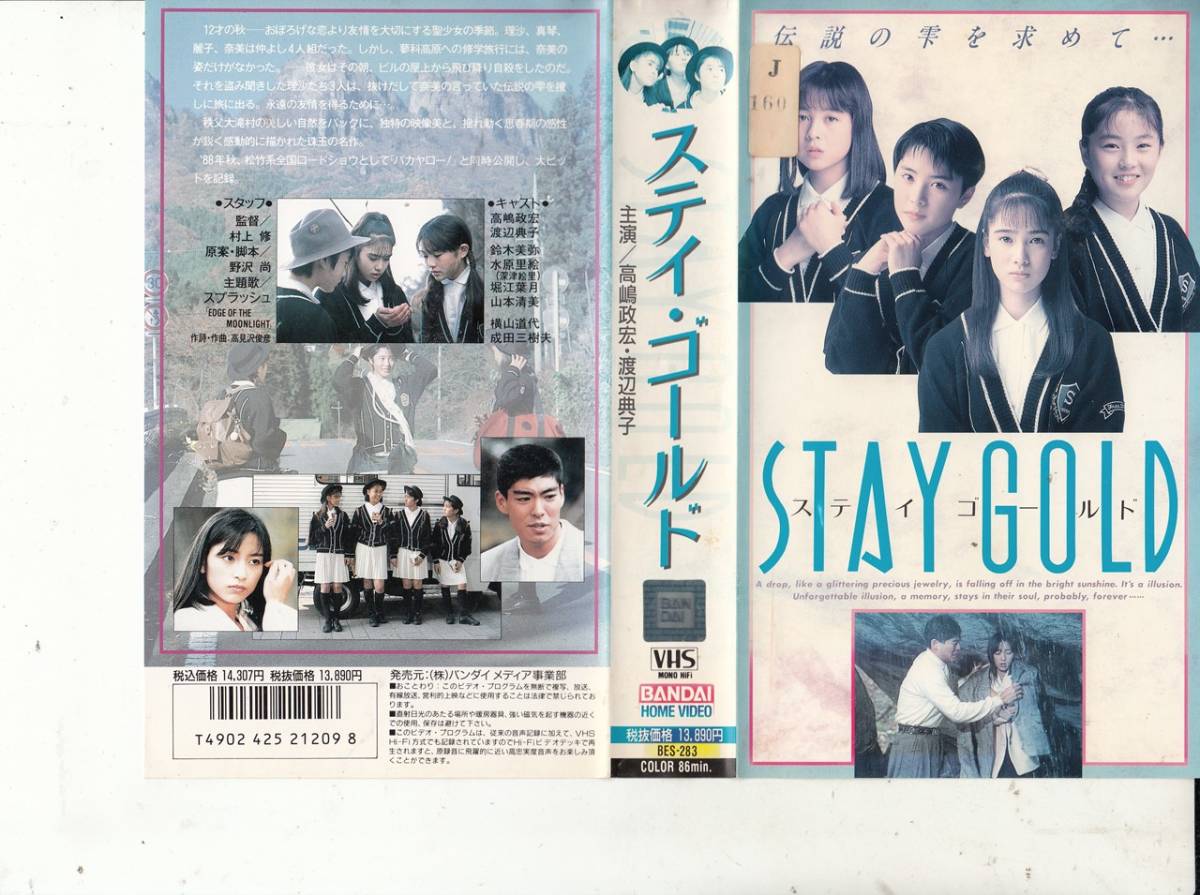 やや傷や汚れあり】ステイ・ゴールド STAY GOLD(1988)□VHS/深津