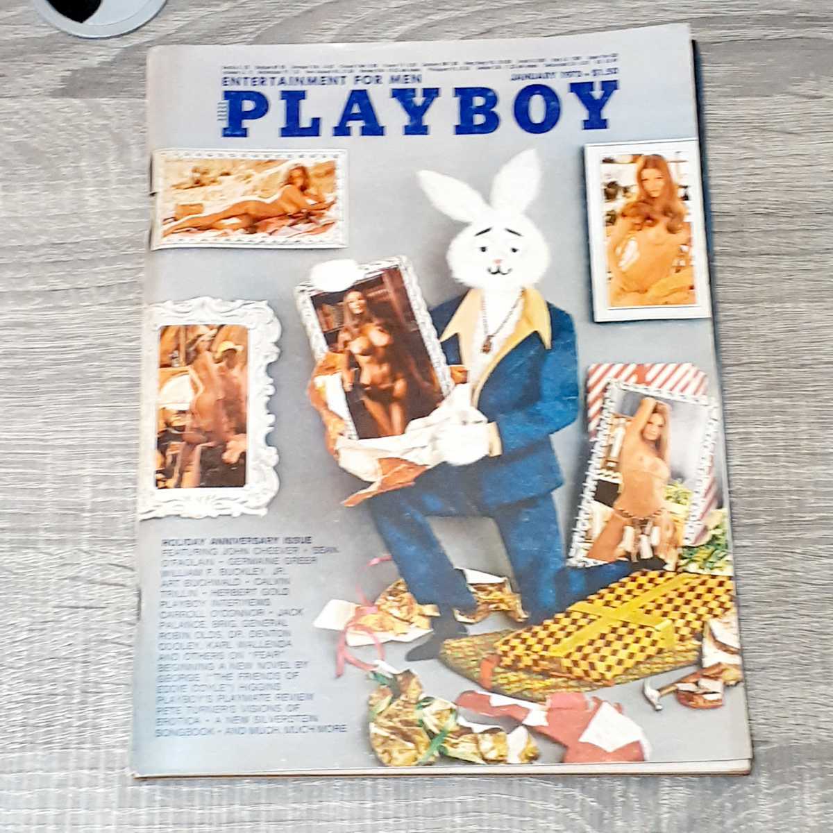 ヌ-ド写真白人外人プレイボーイ 