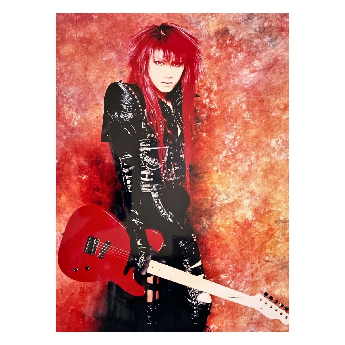 やや傷や汚れあり】Dir en grey ポスター DIE 初期 パネル