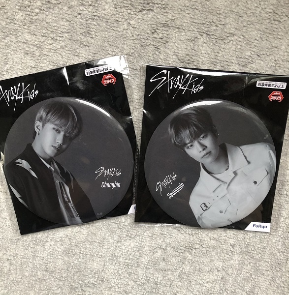 Stray Kids BIG缶クッション（: straykids BIG 缶バッジ