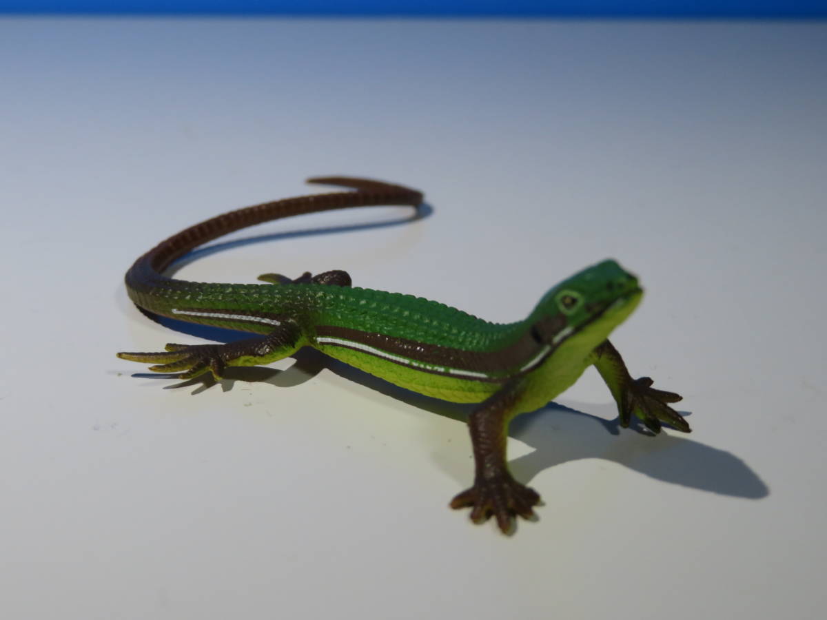 1円スタート！！】ネイチャーテクニカラー 鳥羽立体水族館コレクション