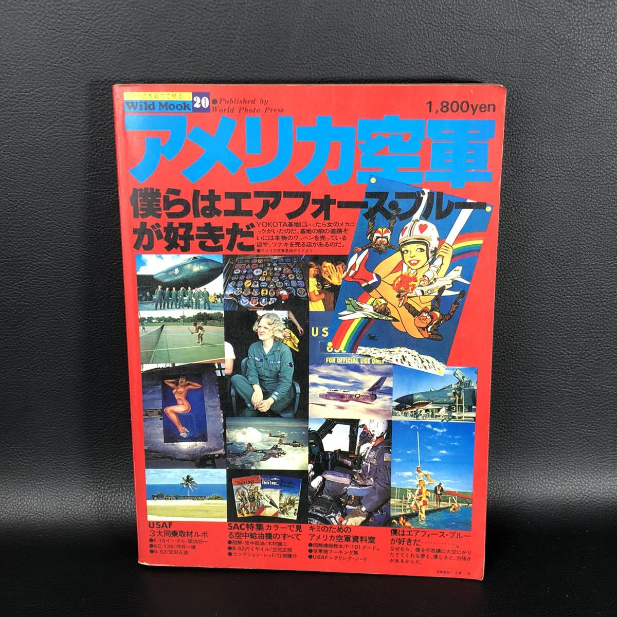 THE POLICE・世界の警察カタログ(水野晴郎監修/WildMook.25※付録