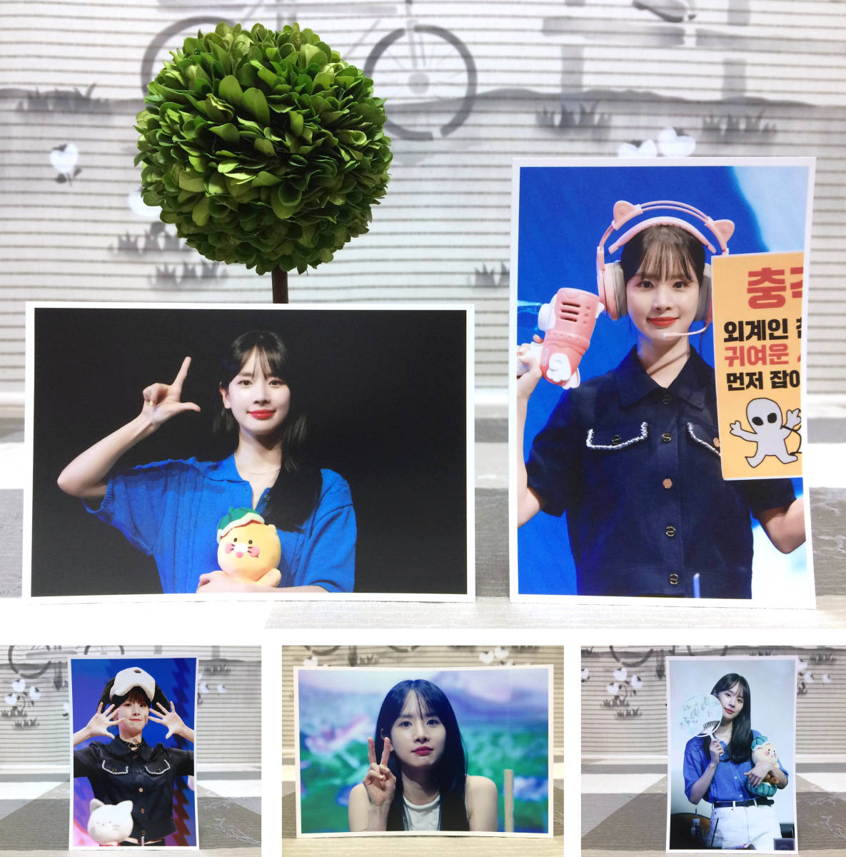 激レア 宇宙少女ウンソ 直筆サイン入トレカ