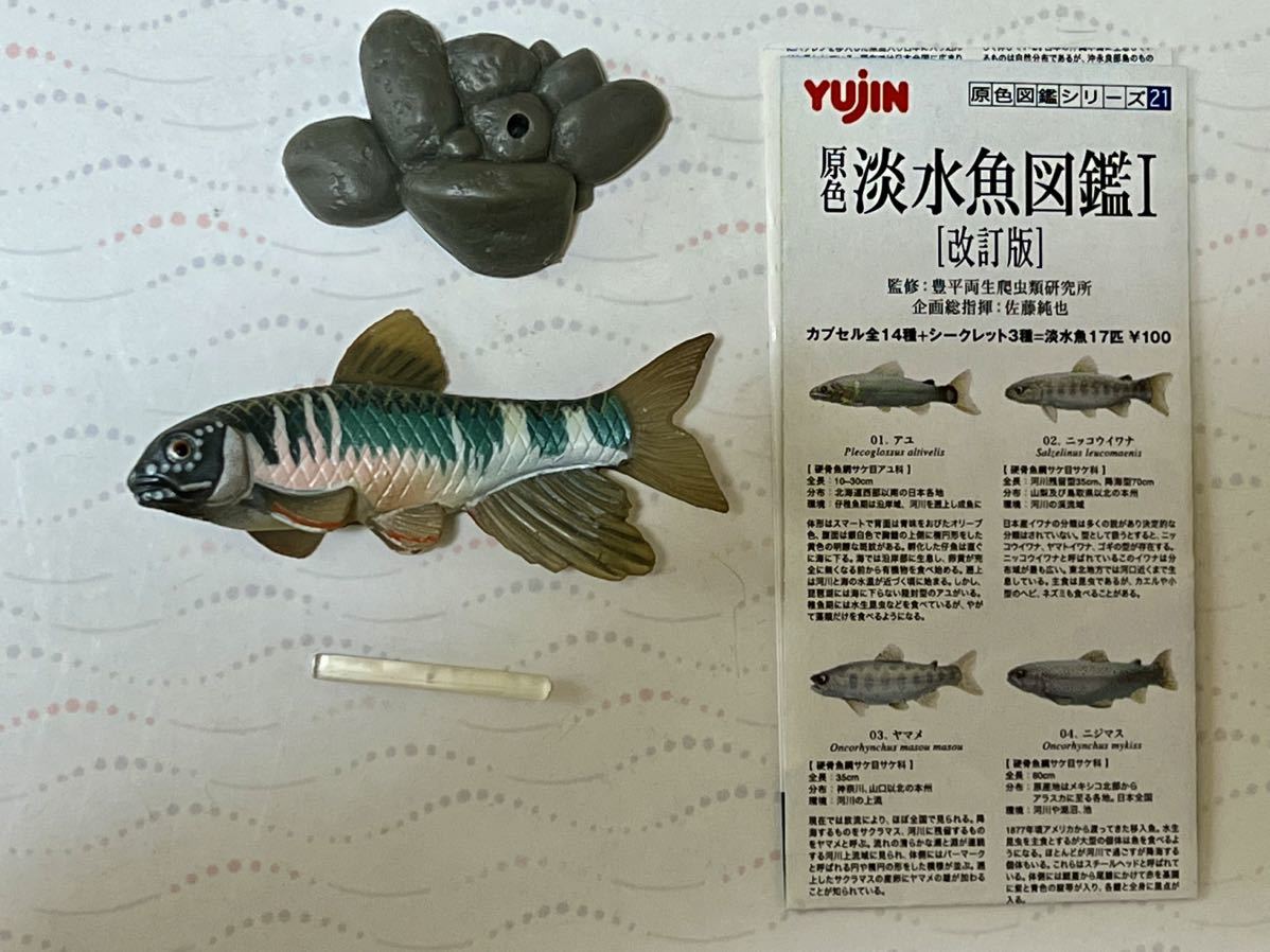 原色淡水魚図鑑 改訂版 Ⅰ・Ⅱ ボックス BOX フルコンプ 中古