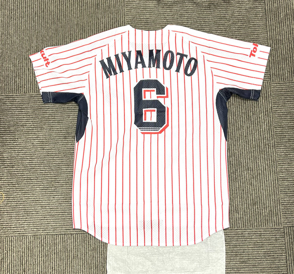 PLAYERS SERIES | 東京ヤクルトスワローズ