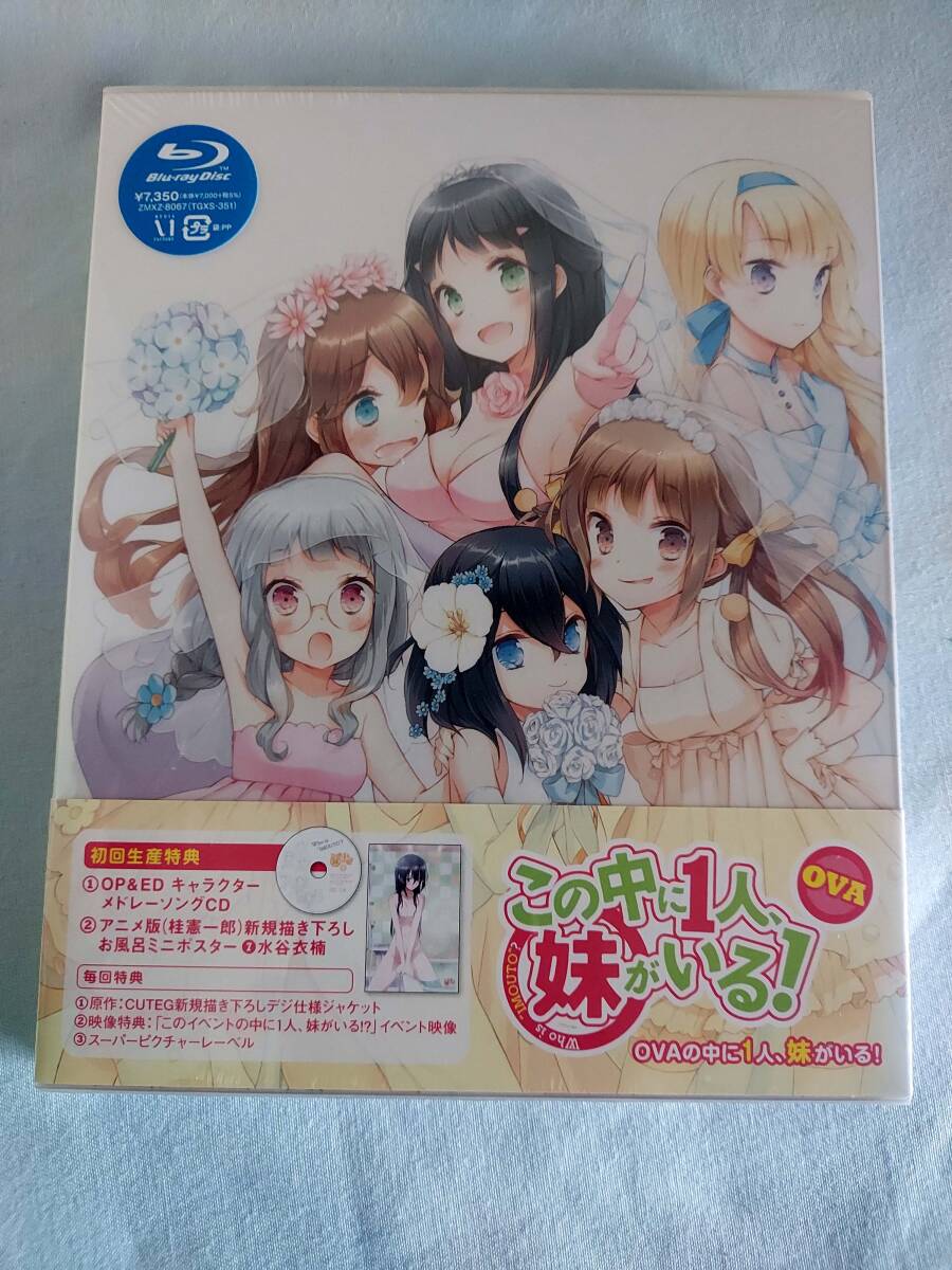 【即決ＤＶＤ】この中に1人、妹がいる！ 全6巻セット　櫻井孝宏 石原夏織 佐倉綾音 竹達彩奈 大亀あすか 日高里菜 小清水亜美　