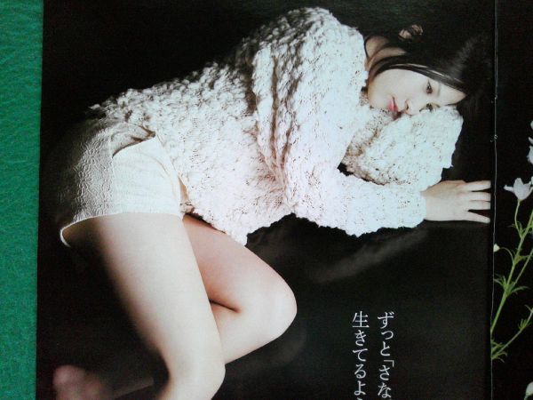 週刊プレイボーイ 2009年 AKB - メルカリ
