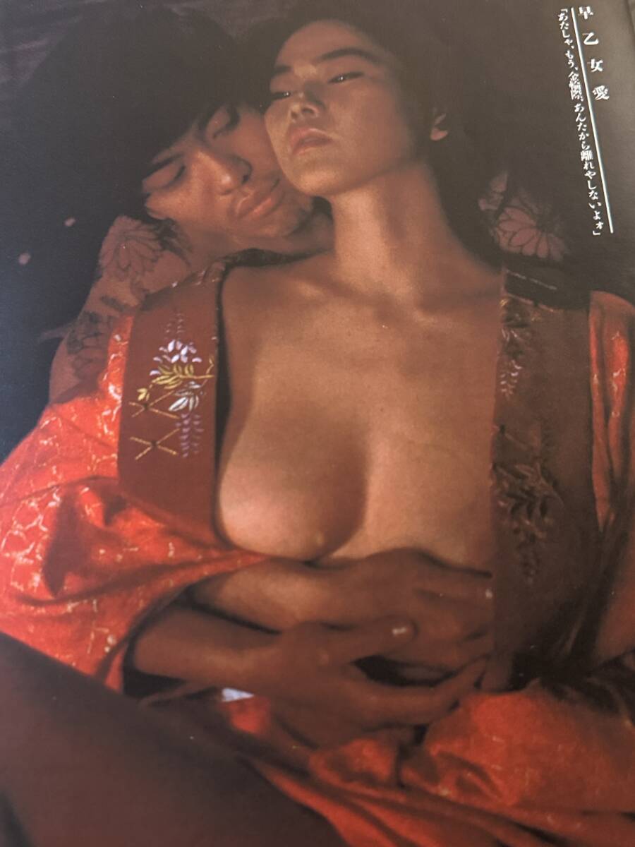 岩下志麻 ヌード 画像 