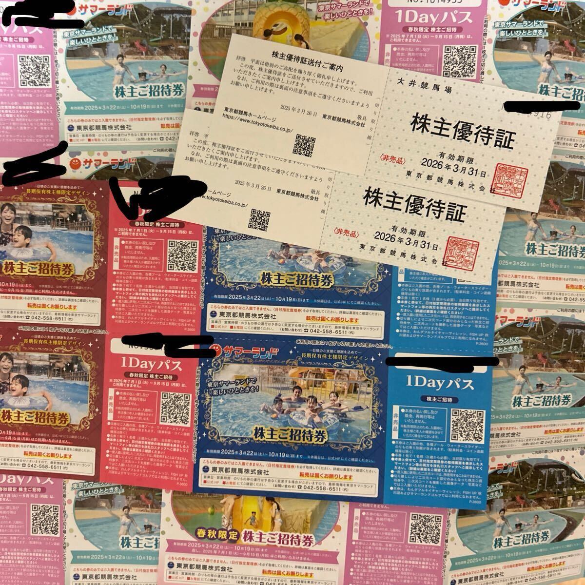 サマーランド株主優待権2枚 東京サマーランド 株主優待チケット 東京サマーランド株主優待（招待券