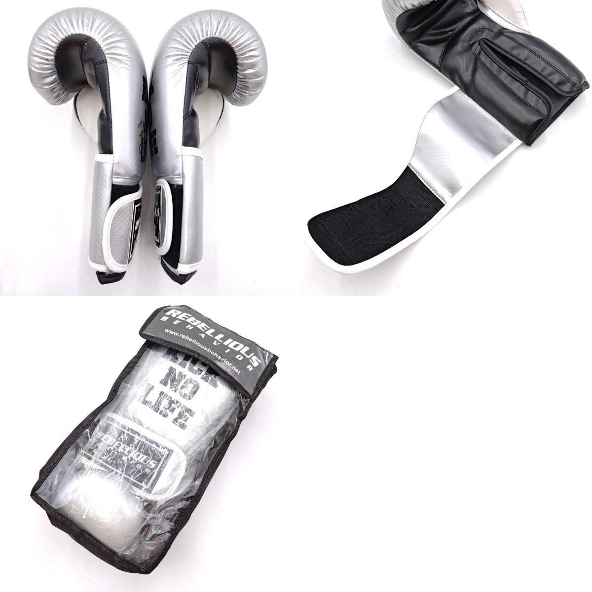 ラスト ライアン・チャン 新作写真集 REBELLIOUS HIGH SCHOOL RYAN