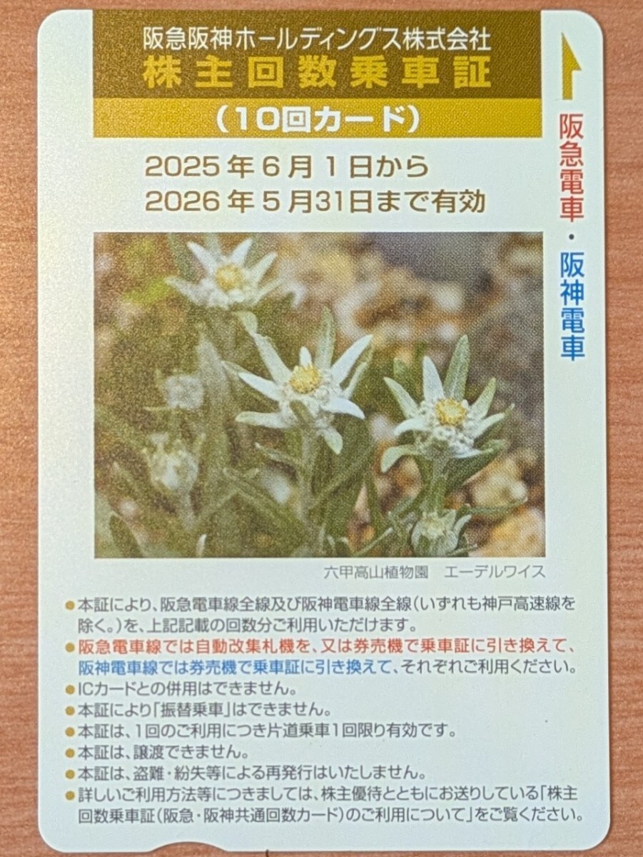 ★★ 未使用 【いわさきICカード】 かごしま5事業者共通乗車カード ★★
