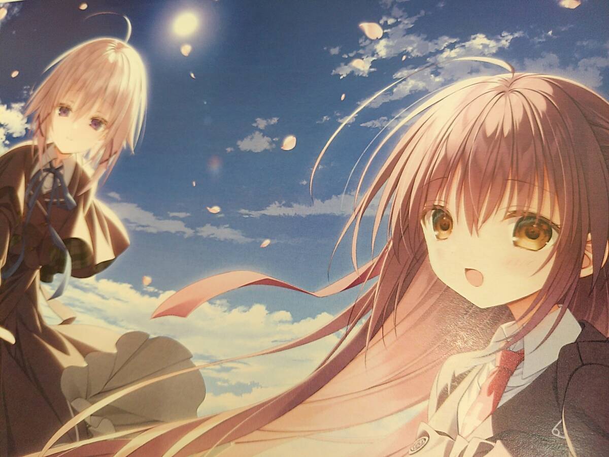 未使用に近い】【サクラノ詩 －櫻の森の上を舞う－◇パスケース】枕