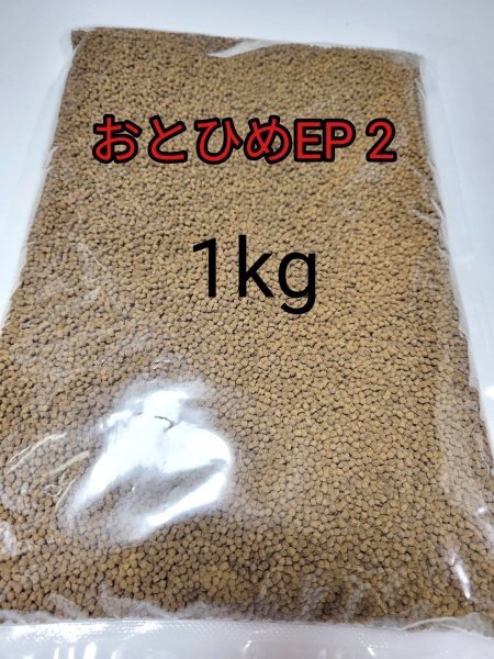 黒らんちゅう（雌）×　シルクピンポンパール（雄）　針仔　３00匹　発送限定　 黒らんちゅう（雌）× シルクピンポンパール（雄） 稚魚 100匹 発送日限定