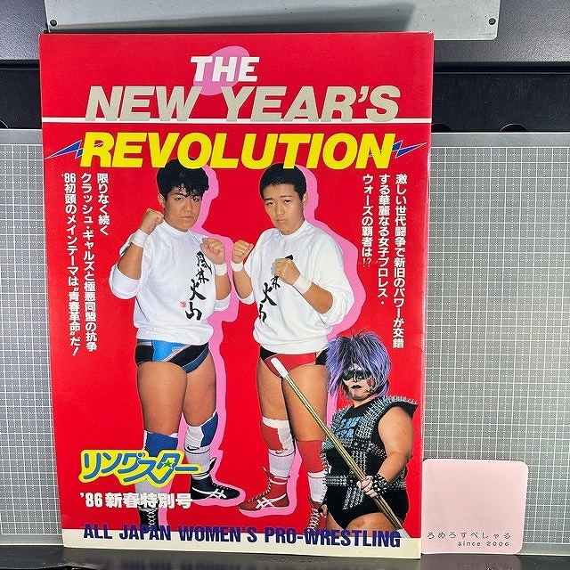 目立った傷や汚れなし】☆全日本女子プロレス パンフレット☆「GO GO